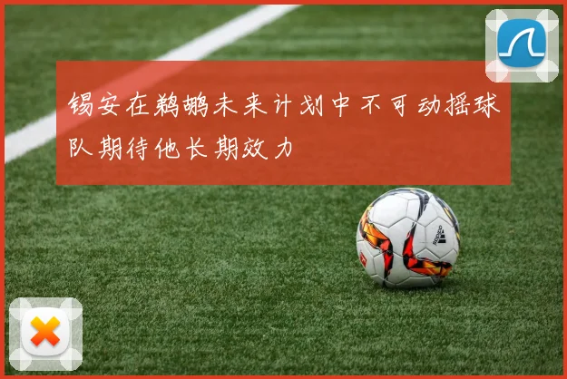 锡安在鹈鹕未来计划中不可动摇球队期待他长期效力